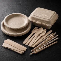 Sustainable & Eco-Friendly — certified compostable